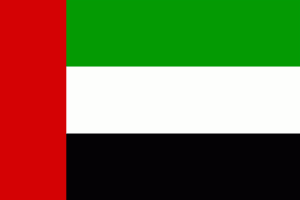 vlajka spojene arabske emiraty 1v 1